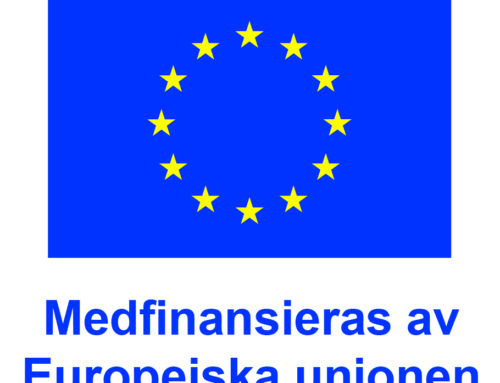 Investeringsstöd